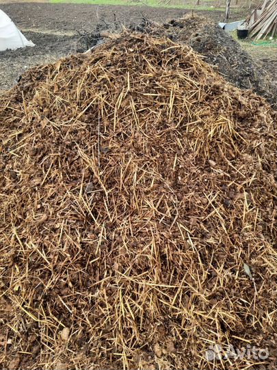 Конский навоз