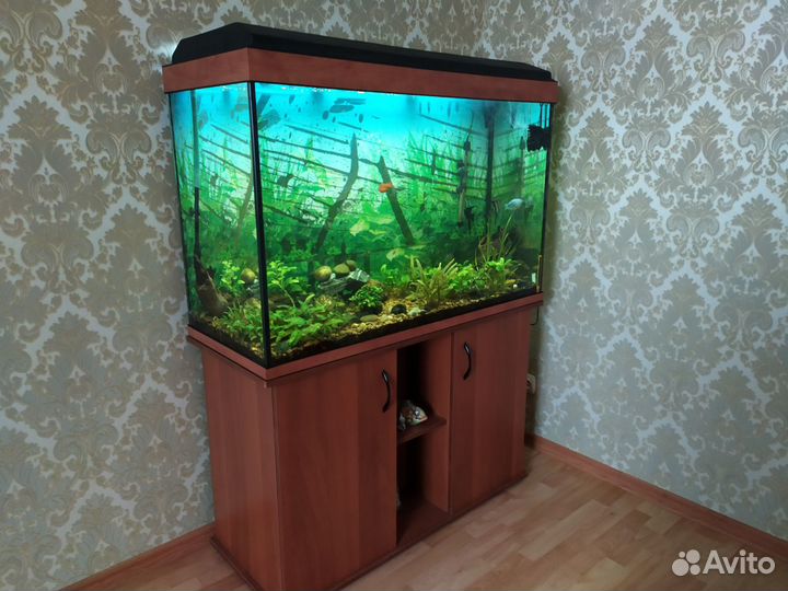 Аквариум 350л