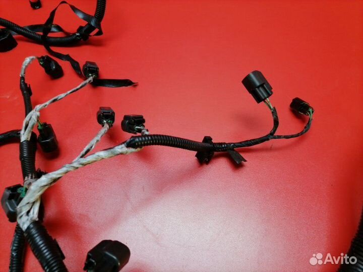 Проводка двигателя Ford Focus CB4 qqdb 2008