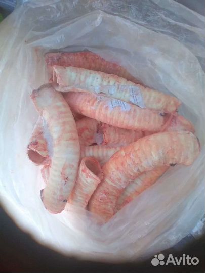 Трахея говяжья на корм и сушку для животных