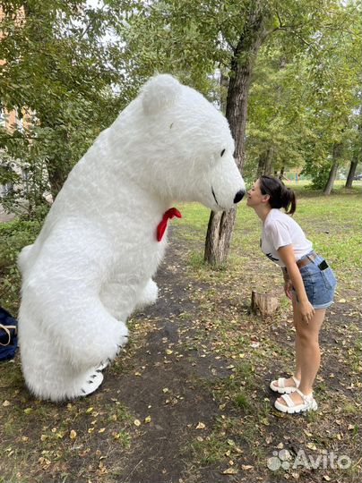 Поздравление от большого белого медведя 2,9