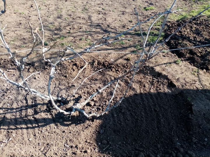 Дача 37 м² на участке 11 сот.