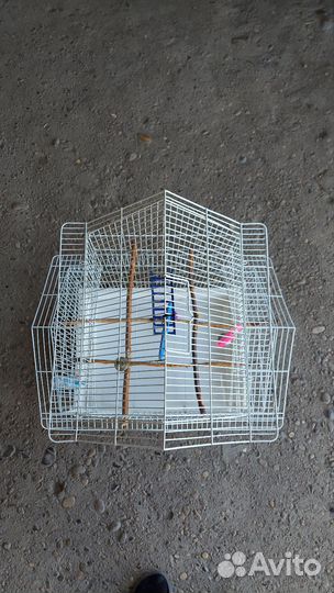 Клетка для попугая корелла