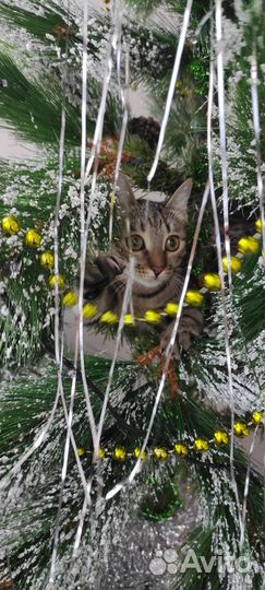 Елка новогодняя Сосна Искусственная