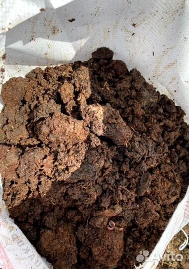 Перегной навоз с доставкой