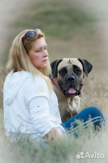 Щенки Бурбуля