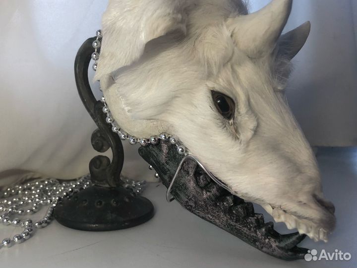 Декор чучело козла (бра)