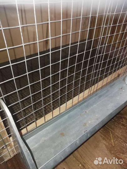 Клетки и брудеры для птицы