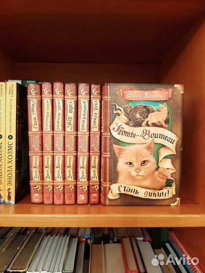 Коты-воители