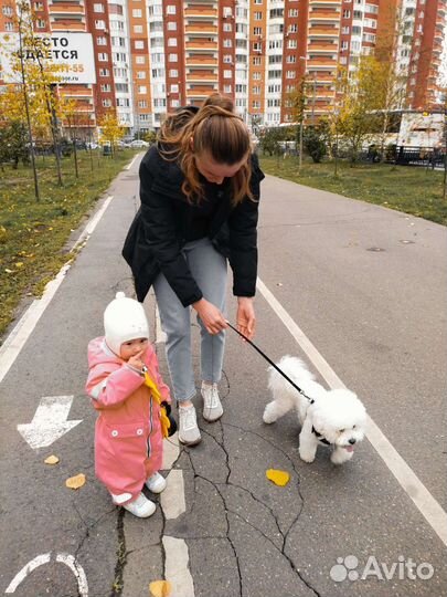 Передержка кошек и собак в домашних условиях