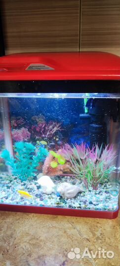 Аквариум 17 л