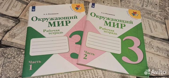 Рабочая тетрадь окружающий мир плешаков 3 класс