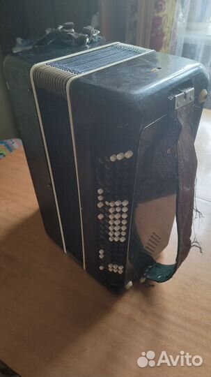 Баян аккордионированный, Москва