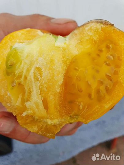 Семена коллекционных томатов