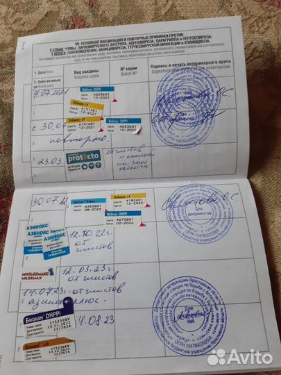 Отдам Немецкую овчарку в добрые руки