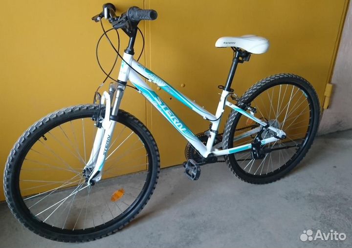 Stern Ladies Specific Geometry