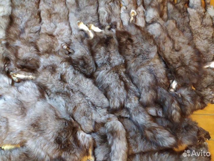 Шкуры блюфроста