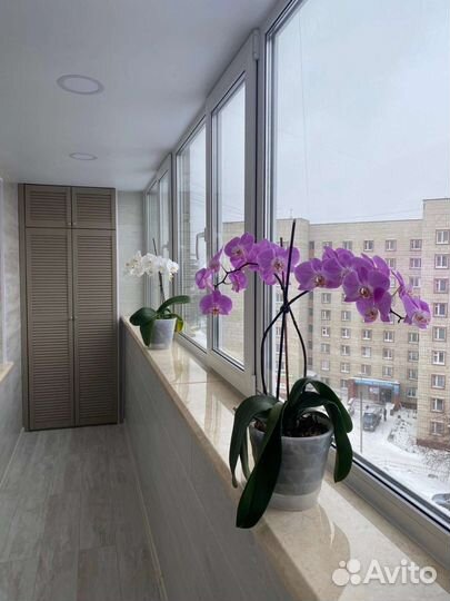 Ремонт и отделка балконов и лоджий, остекление