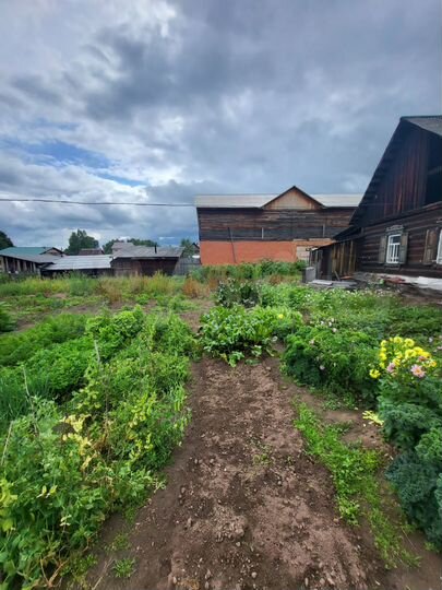 Дом 51,3 м² на участке 12 сот.