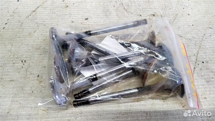 Клапан выпускной км-т Ford Focus 1 98-05г