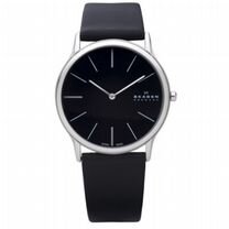 Наручные часы Skagen 858xlslb