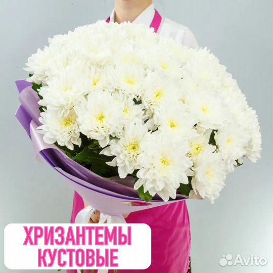 Розы, цветы, букеты 25, 35, 51, 101 роз