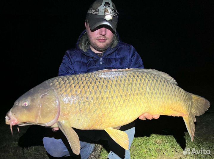 Платная рыбалка