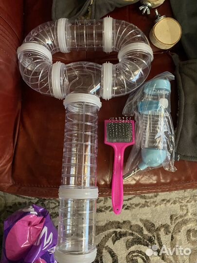 Для крысок)