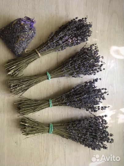 Лаванда сухоцвет