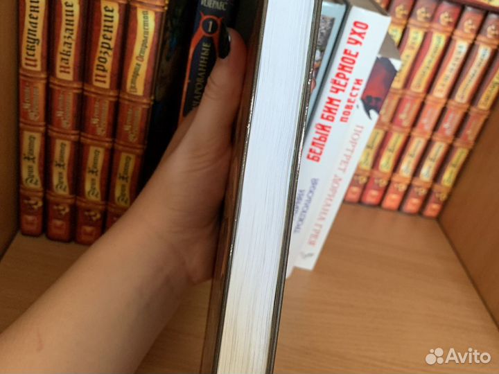 Книги Коты-воители