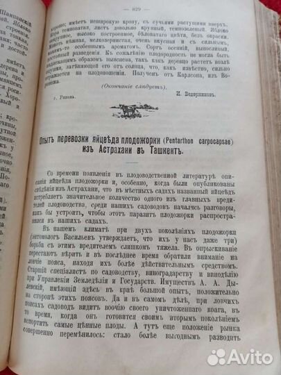Антикварная книга. Плодоводство. 1911 год