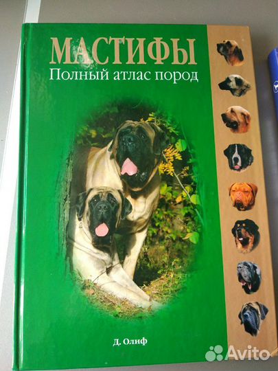 Полный атлас мастифа
