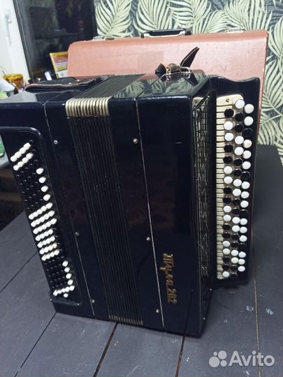 Баян тула 202