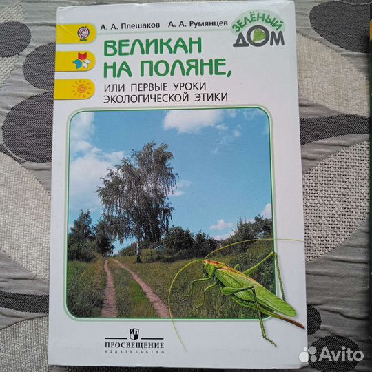 Книга для начальной школы Великан на поляне