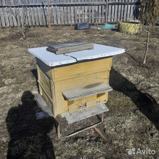 Улей для пчел бу, рамки, медогонки