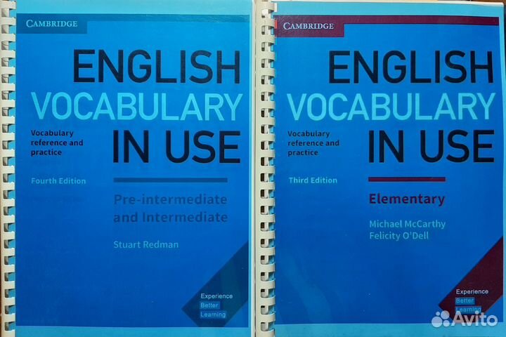 Vocabulary in Use