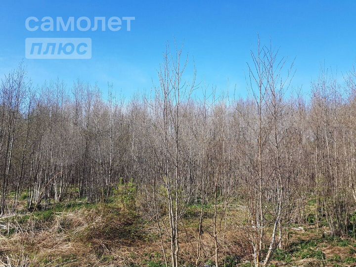 Участок 10 сот. (ИЖС)