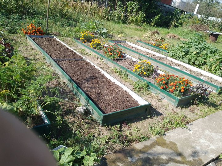 Дача 61 м² на участке 6 сот.