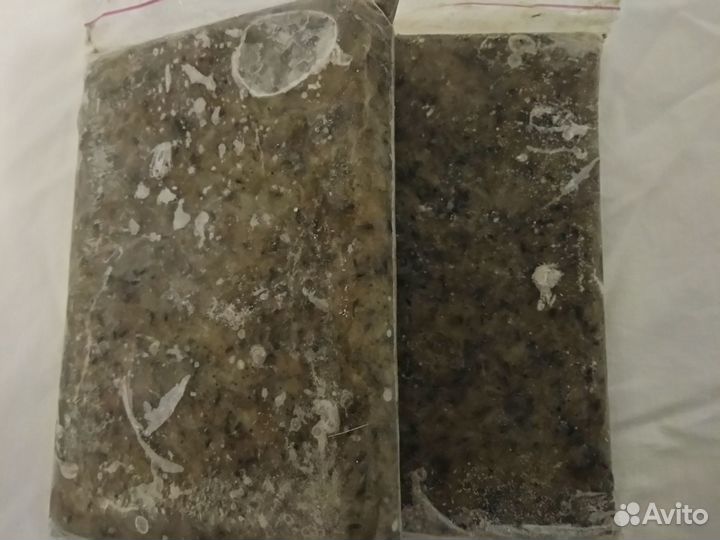 Корм для рыбок