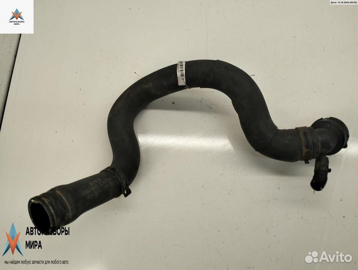 Патрубок радиатора Volkswagen Touran 2004