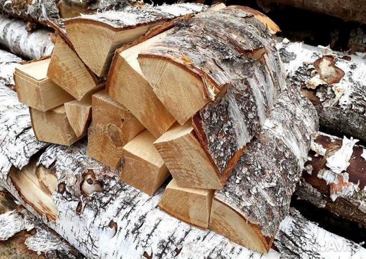 Дрова береза