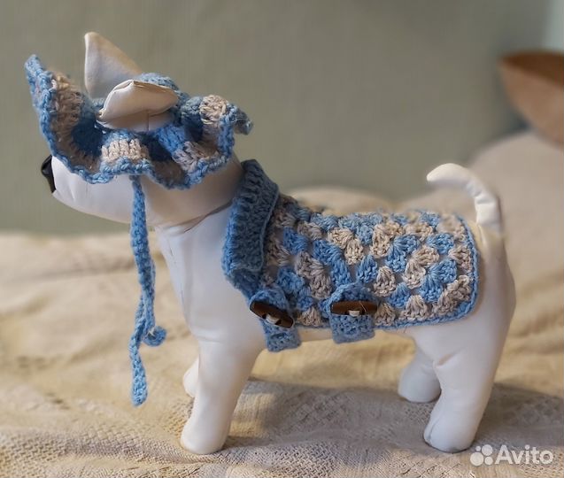 Одежда для чихуахуа и других маленьких собак