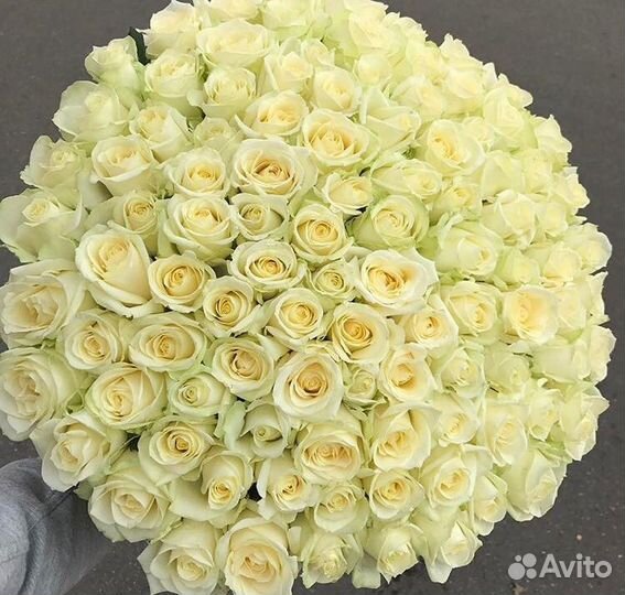 Красные розы, белые розы 80 см 8 марта 101 роза