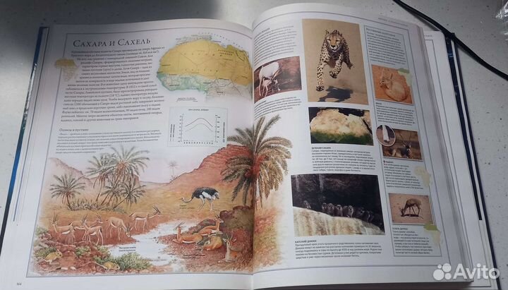 Энциклопедия-Атлас Животные и Мир