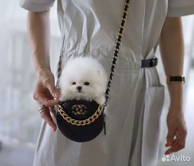 Красотулички