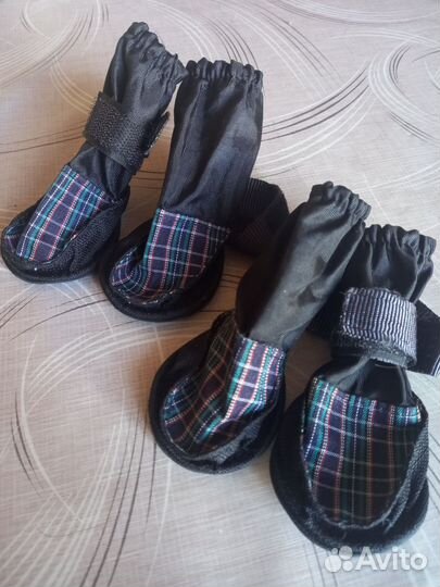 Ботинки для маленьких собак