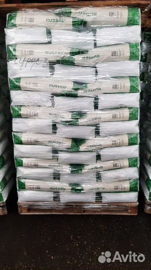 Семена подсолнечника гибрид Грант