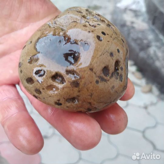 Метеорит