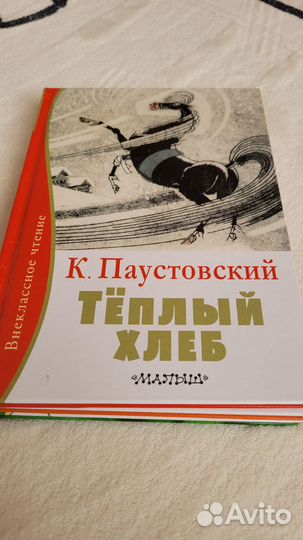 Внеклассное чтение, 4 книги
