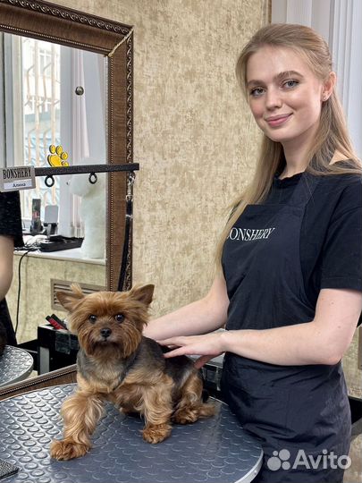 Стрижка, груминг, экспресс-линька собак и кошек